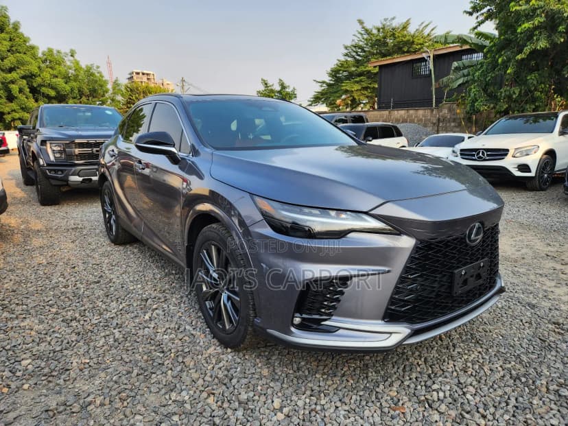 Lexus RX 350 Gray - Image 1